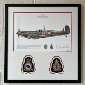 41 Squadron Spitfire Presentation