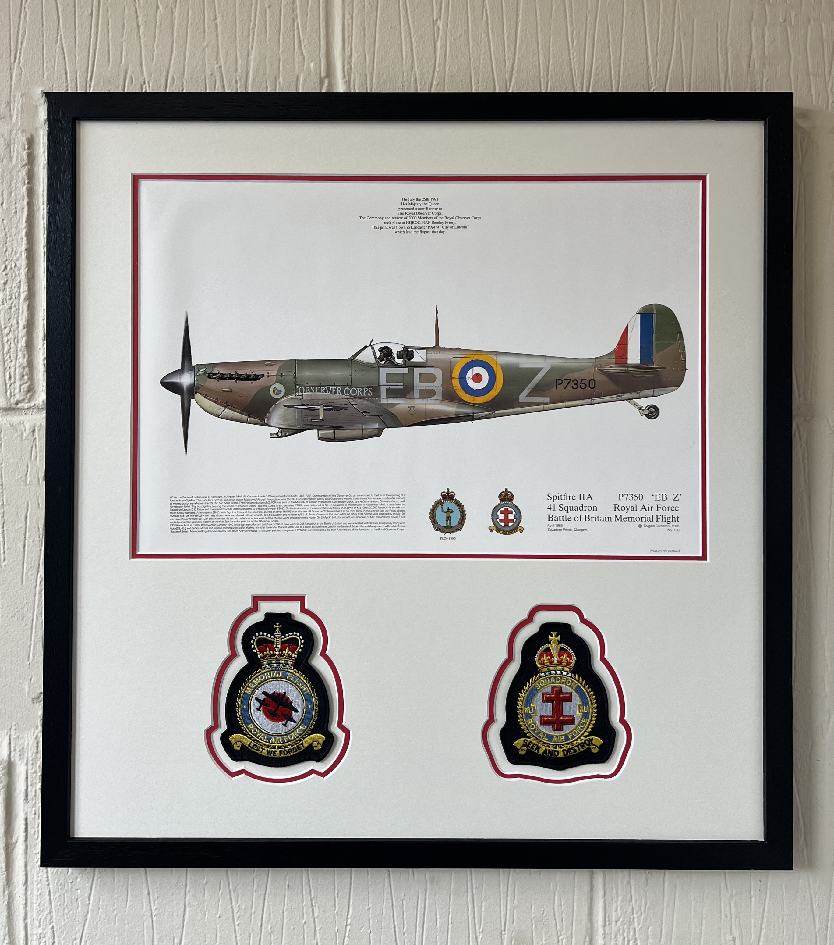 41 Squadron Spitfire Presentation